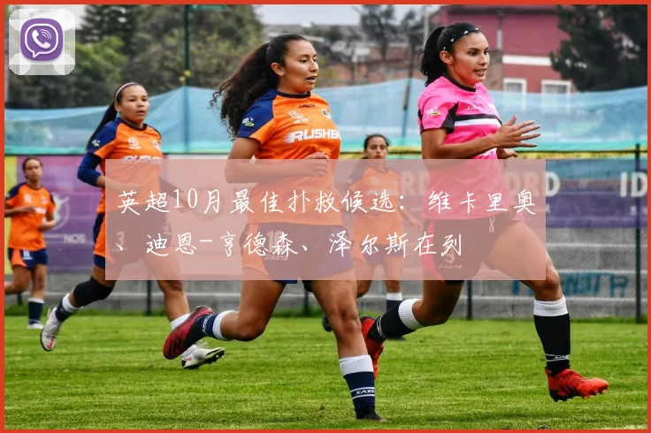 英超10月最佳扑救候选：维卡里奥、迪恩-亨德森、泽尔斯在列