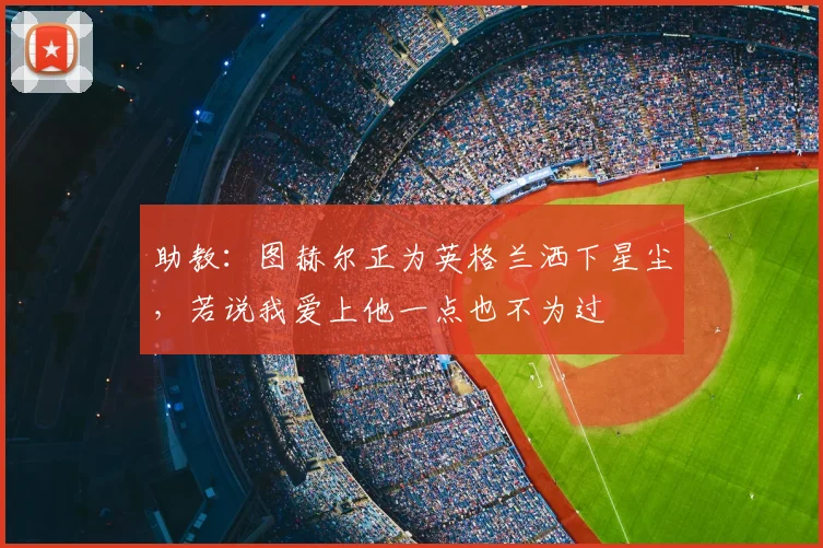 助教：图赫尔正为英格兰洒下星尘，若说我爱上他一点也不为过