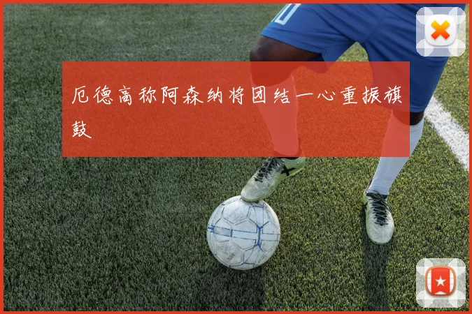 厄德高称阿森纳将团结一心重振旗鼓